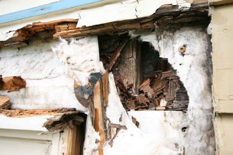 Ask Your Contractor: How do I Stop Exterior Wood from Rotting?